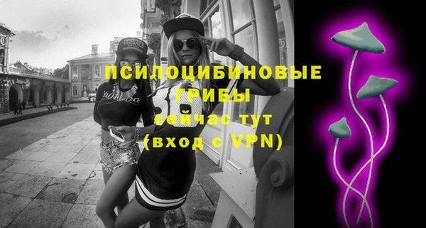 герыч Протвино
