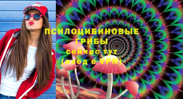 хмурый Видное